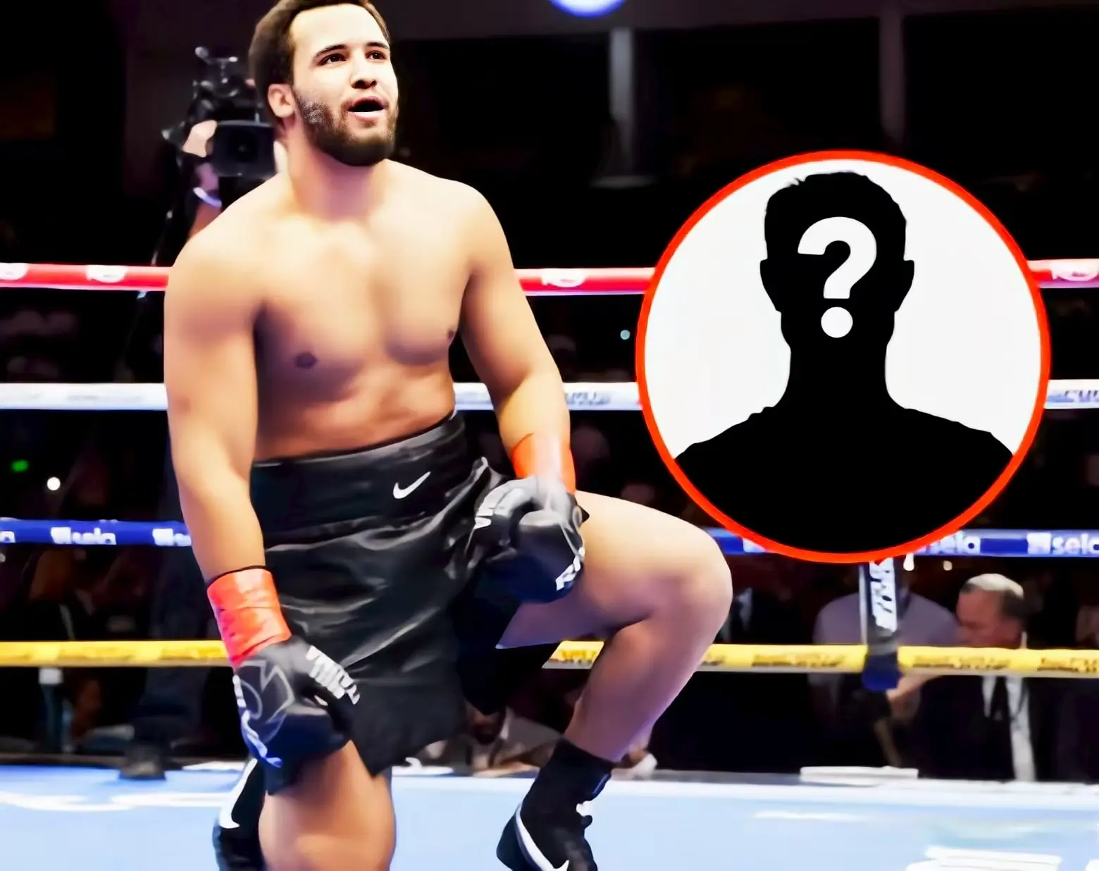 尽管有报道, 这是我的观 尽管有报道, 这是我的观