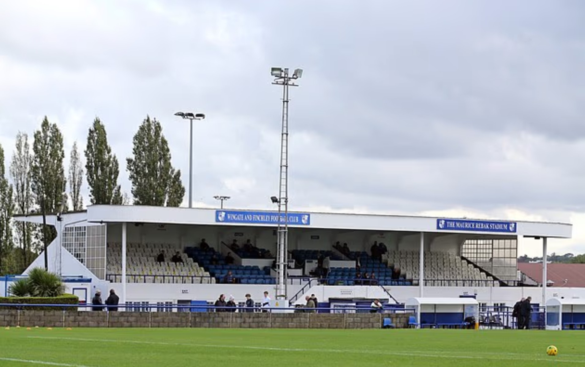 入医学诱导, 现东家陷入 入医学诱导, 现东家陷入